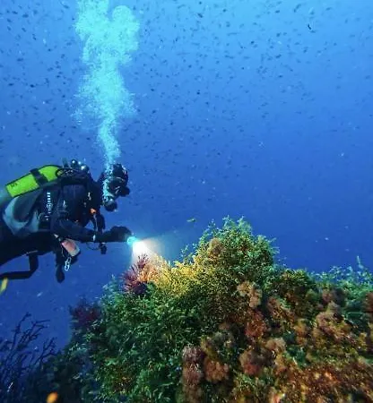 La Nessirah Apartamento